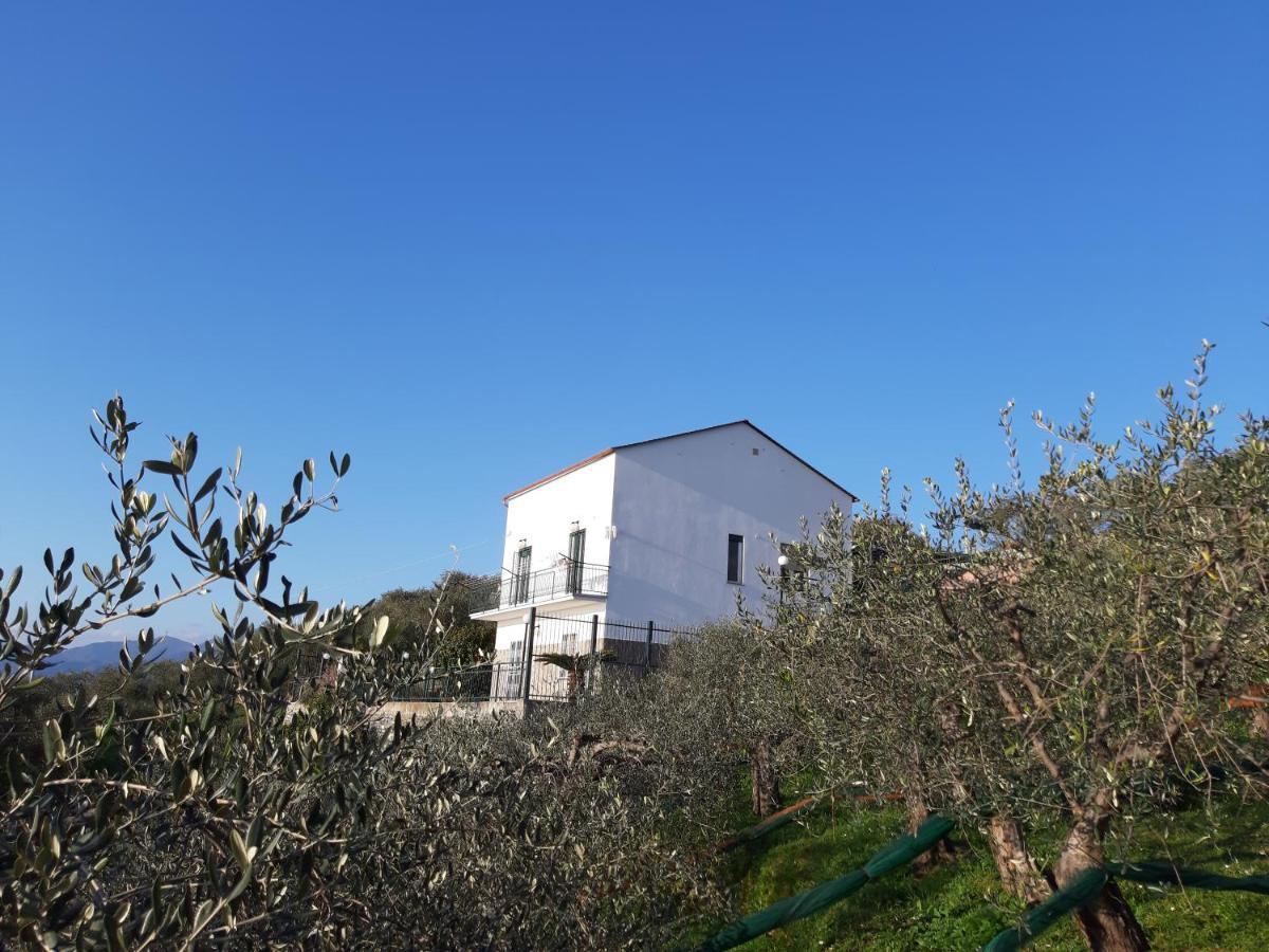 Sarina House Ocean View Villa Lavagna Exterior photo